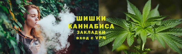 молекула духа Кинешма