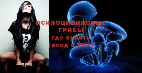 стафф Киренск