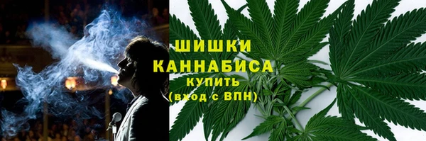 молекула духа Кинешма
